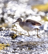 Tiedostonimi=_A9A9093_ne.JPG
Tiedostokoko=896kt
Koko=883x1000
Lisätty=%05.%09.%2025 _A9A9093_ne.JPG